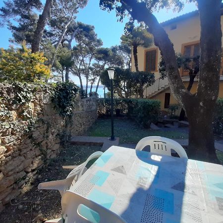 Villa Violetta Castiglioncello Eksteriør billede