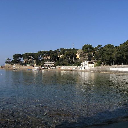 Villa Violetta Castiglioncello Eksteriør billede