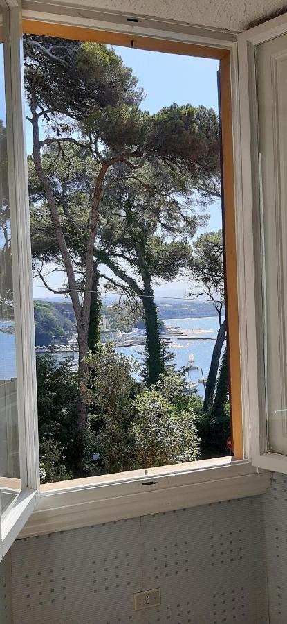 Villa Violetta Castiglioncello Eksteriør billede