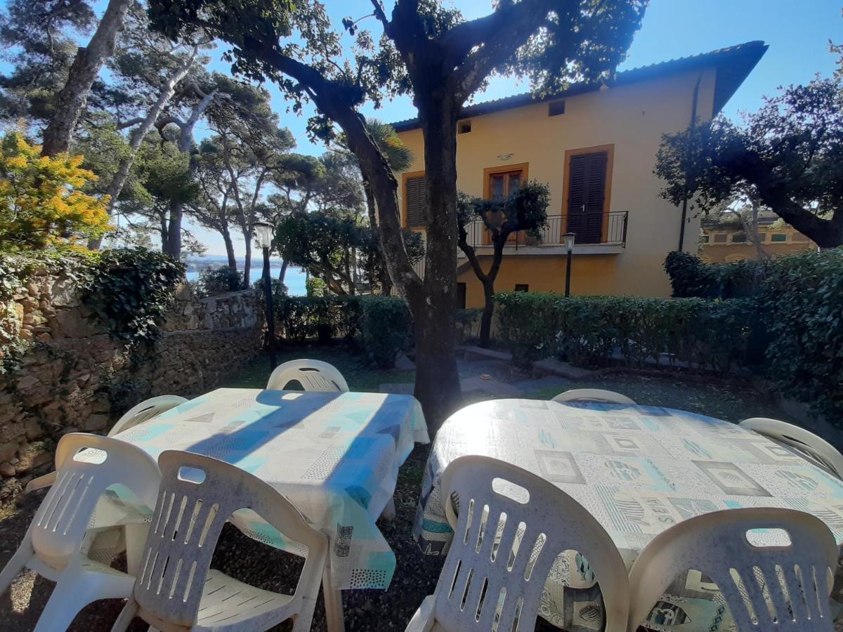 Villa Violetta Castiglioncello Eksteriør billede