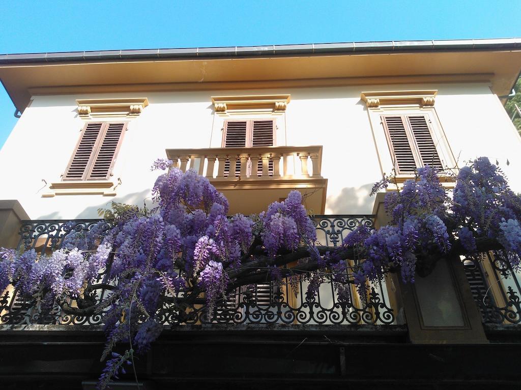 Villa Violetta Castiglioncello Eksteriør billede