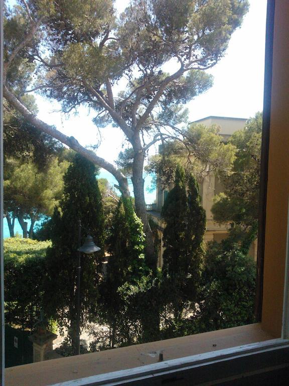 Villa Violetta Castiglioncello Eksteriør billede