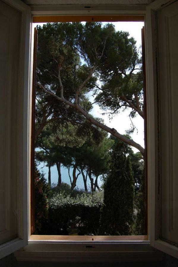 Villa Violetta Castiglioncello Eksteriør billede